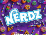 Nerdz Féminisée BSF Seeds