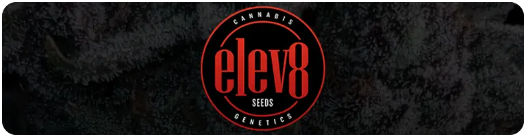 Elev8 Seeds