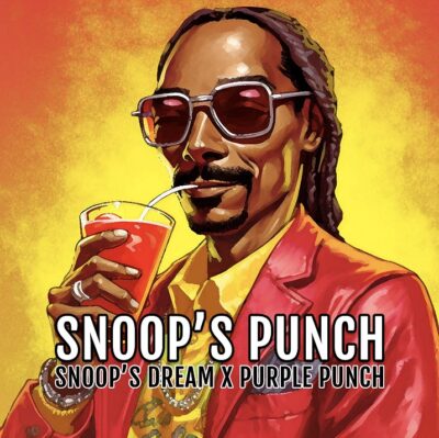 Snoop's Punch Elev8 seeds