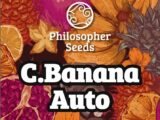 C.Banana Auto Philosopher Seeds