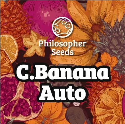 Chiquita Banana auto philosopher seeds