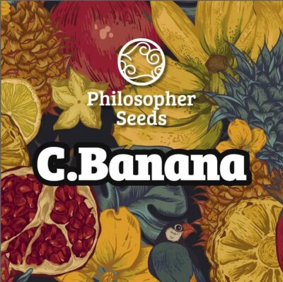 Chiquita banana philosopher seeds