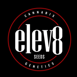 Elev8 seeds graines de cannabis