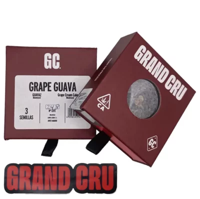 Grape Guava Grand Cru Genetics