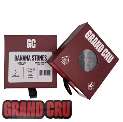 banana stones Grand cru genetics