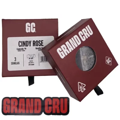 cindy rose Grand Cru genetics