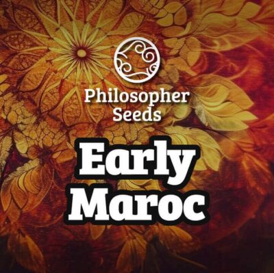 early Maroc Philosopher Seeds