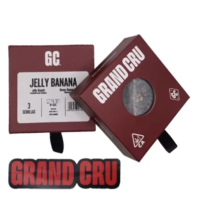 jelly banana Grand Cru Genetics