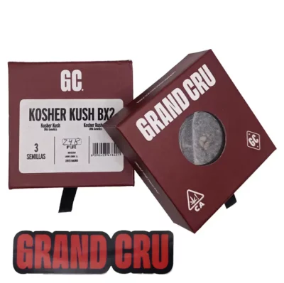 kosher kush bx2 Grand Cru Genetics