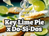 Key Lime Pie x Do-Si-Dos Philosopher Seeds