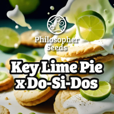 Key lime pie x do si dos philosopher seeds