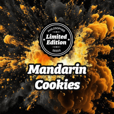 Mandarin cookies Philosopher Seeds