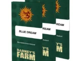 Blue Dream Féminisée Barney’s Farm