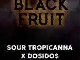 Black Fruit Tramuntana Seeds