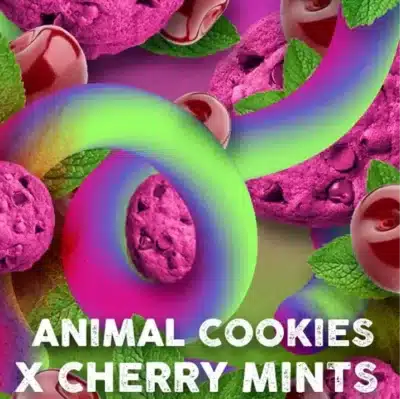 Cherry cookies Mints Tramuntana seeds