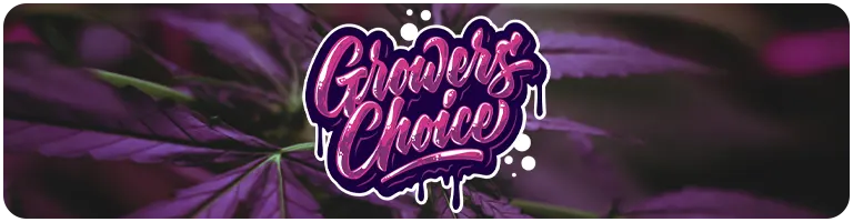 growers choice graines cannabis