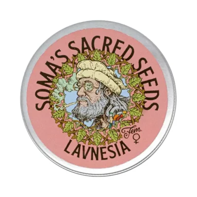 Lavnesia Soma Seeds
