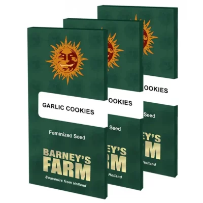 garlic cookies Barneys Farm