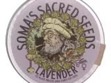 Lavender féminisée Soma Seeds