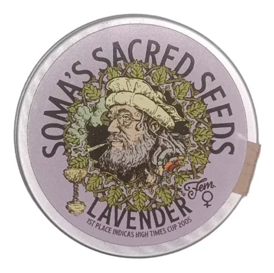 lavender Soma Seeds