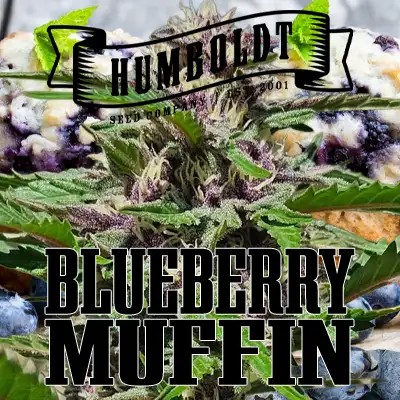 Promo Humboldt Seed company