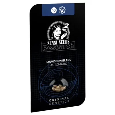 sauvignon blanc auto sensi seeds