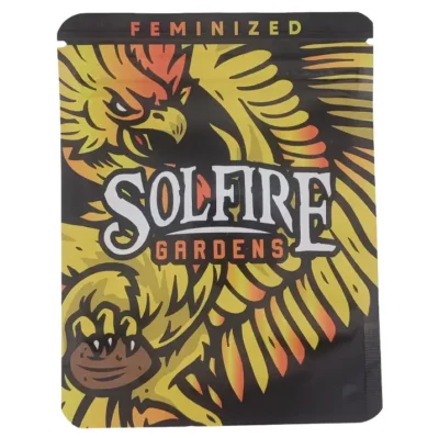 Miami Madness solfire gardens