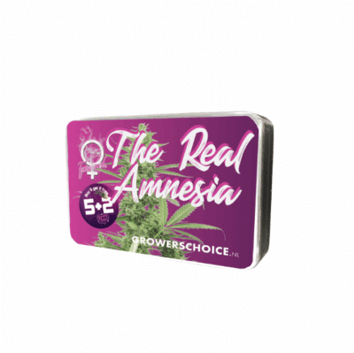 The Real amnesia Growers choice