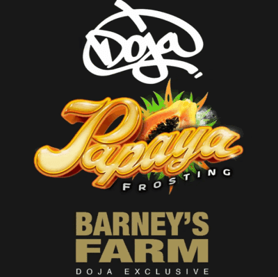Papaya Frosting Barneys Farm