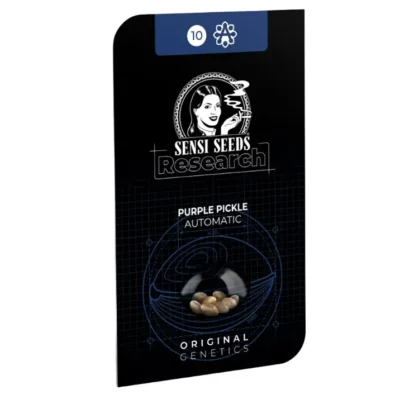 Purple pickle auto sensi seeds research