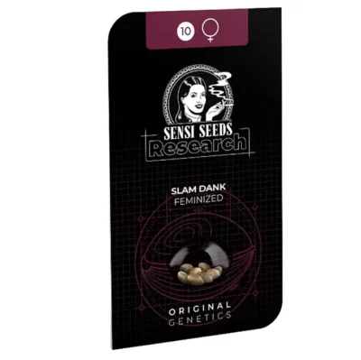 Slam Dank Sensiseed Research