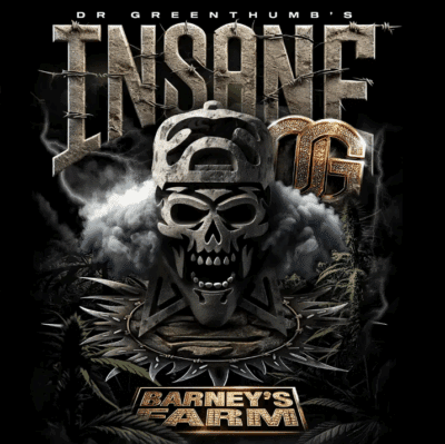 insane Og Barneys Farm