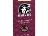 Sunset Peach Sensi Seeds