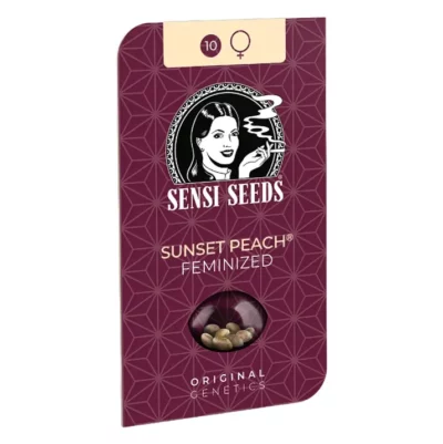sunset peach Sensi Seeds