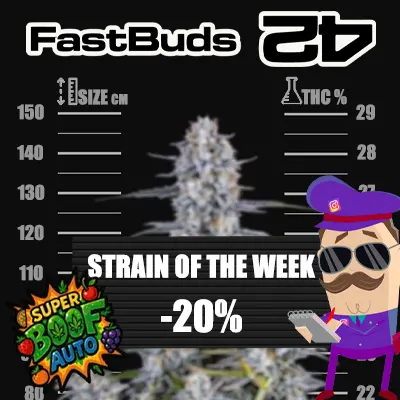 super boof auto Fastbuds promo