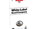 Cali Orange Bud Régulière White Label Seed Company