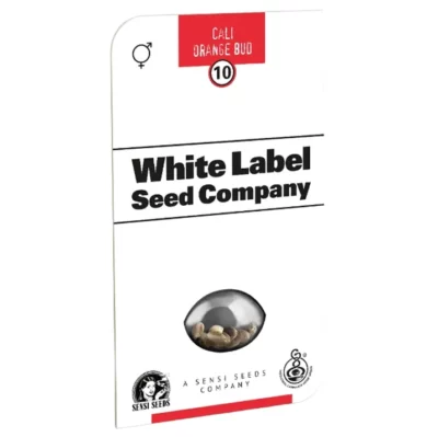 Cali orange bud White label seeds