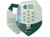 Gaia F1 auto Royal Queen Seeds