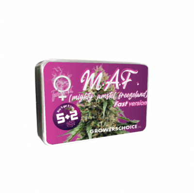 M.A.F Growers choice graines fast floraison