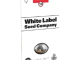 Master Kush Régulière White Label Seed Company