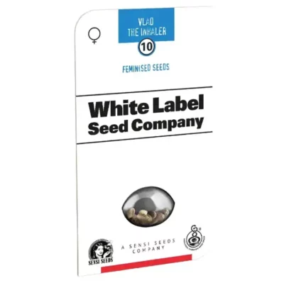 Vlad The Inhaler sensi white label seeds