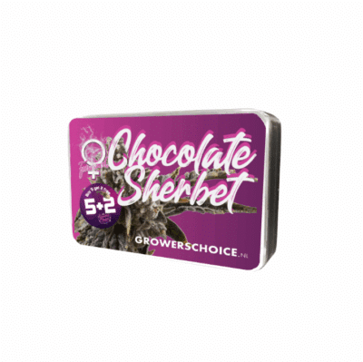 chcolate sherbet Grower Choice