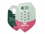 Mexican Rush Royal Queen Seeds