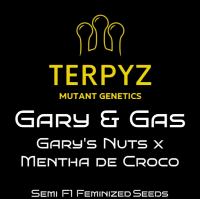 Gary and Gas Terpyz mutant genetics seeds