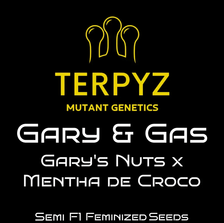 Gary and Gas Terpyz mutant genetics seeds