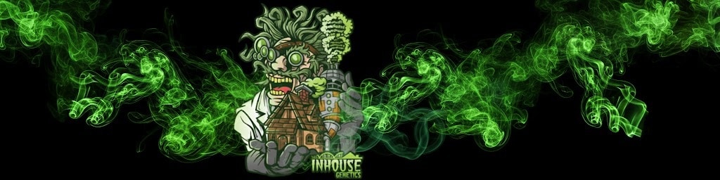 In House Genetics graines cannabis US