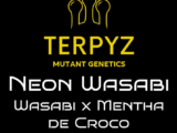 Neon Wasabi TerpyZ Mutant Genetics Neon Wasabi TerpyZ Mutant Genetics