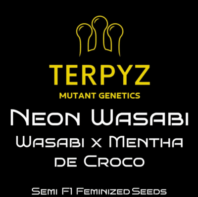 Neon wasabi Terpyz mutant genetics