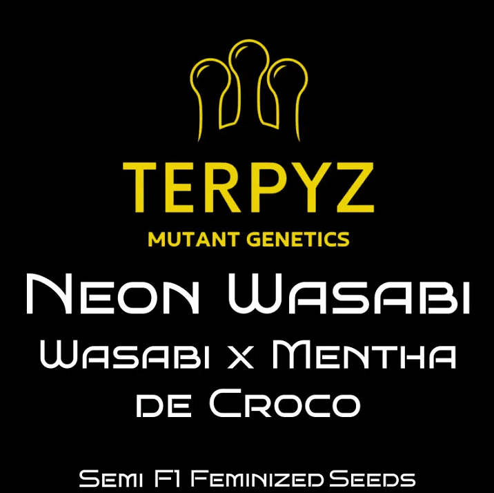 Neon wasabi Terpyz mutant genetics