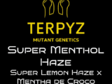 Super Menthol Haze TerpyZ Mutant Genetics Super Menthol Haze TerpyZ Mutant Genetics